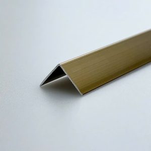 Nẹp V20 Mạ Đồng 2